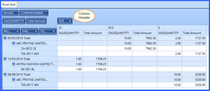 pivot grid general 1.zoom25